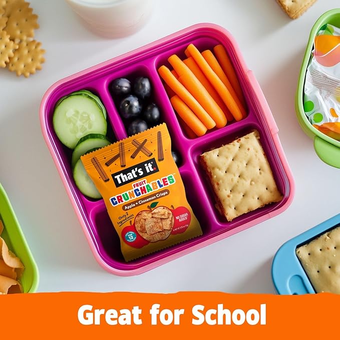 That?셲 it. Fruit Crunchables Apple + Cinnamon Crisps, 15-Pack ??100% Plant-Based Fruit Snacks for Kids, Non-GMO, Gluten-Free, No Added Sugar, Allergen-Free, Healthy Lunchbox Snack for Kids & Adults