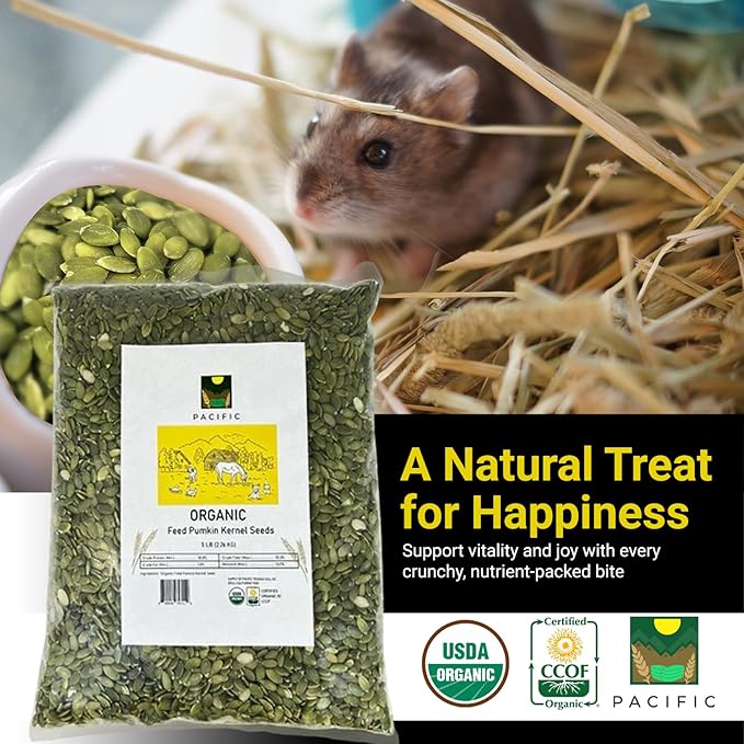 PACIFIC Organic Petfood Organic Feed Pumpkin Kernel Seeds - Organic Pumpkin Seeds for Dogs | Rich with Fiber & Minerals | USDA and CCOF Certified | Packed in USA - 5Lbs