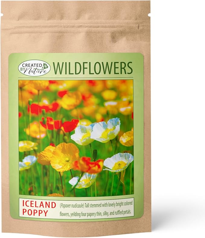 Iceland Poppy (Papaver Nudicaule) – 34,700 Non-GMO Seeds | Easy-to-Grow Pollinator-Friendly Wildflower | Vibrant Red, Yellow, Orange & White Blooms | Perfect for Flower Beds & Wildflower Gardens