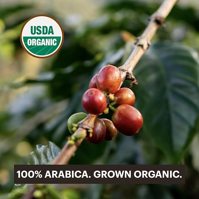 G GRANA Americano USDA Organic Dolce Gusto Compatible Coffee Pods, 100% Arabica Single Source Specialty Coffee, 48 Single Serve Pods