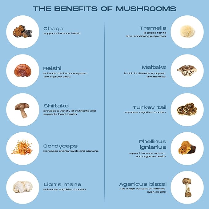 Mushroom Coffee Instant with 10 Mushrooms - 15 Single Packets with Reishi, Lion's Mane, Chaga, Turkey Tail, Cordyceps Mushrooms - Nootropic Mushroom Coffee for Energy Vegan Shroom Coffee