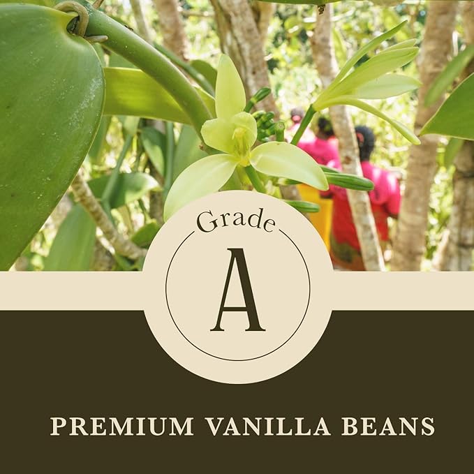 16 oz (1 lb) Organic Madagascar Whole Vanilla Beans, Grade A Vanilla Pods, Premium Vanilla Beans for Making Extract & Baking - Cook?™s