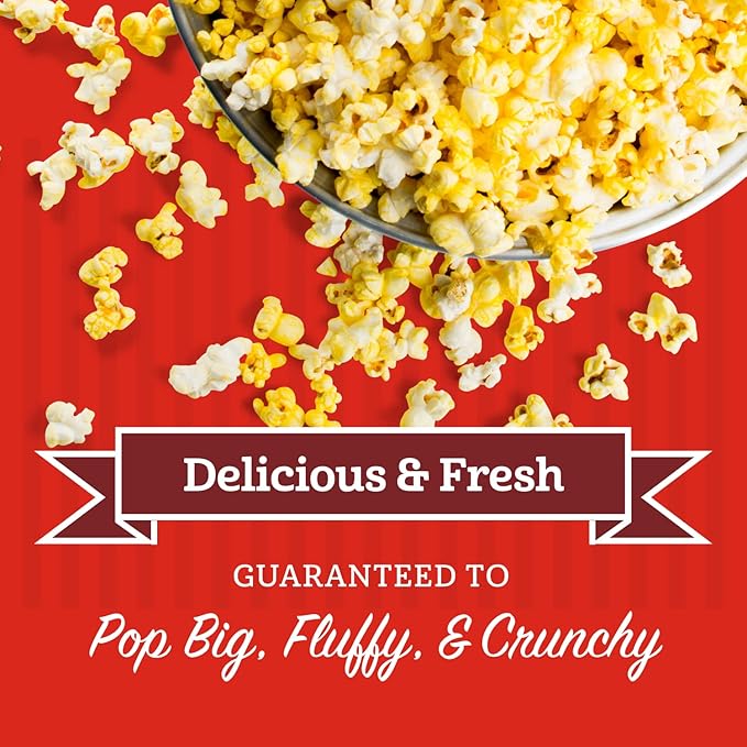 Franklin?셲 Gourmet Popcorn All-In-One Popcorn Packs for Popcorn Machine - 8oz Pack of 10 - Made in USA - Packs of Corn Kernels with Buttery Salt & Oil