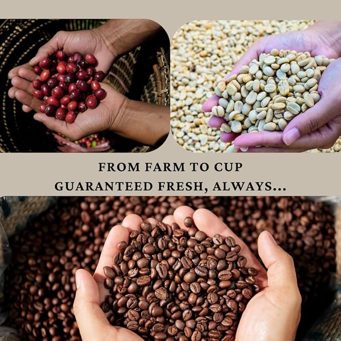 SipHaven | Sipper's Whisper Espresso Blend - Medium Roast Whole Bean Coffee | 1lb (16oz) | Bold, Smooth & Flavorful | Specialty Grade | Small Batch Roasted & Packed in USA