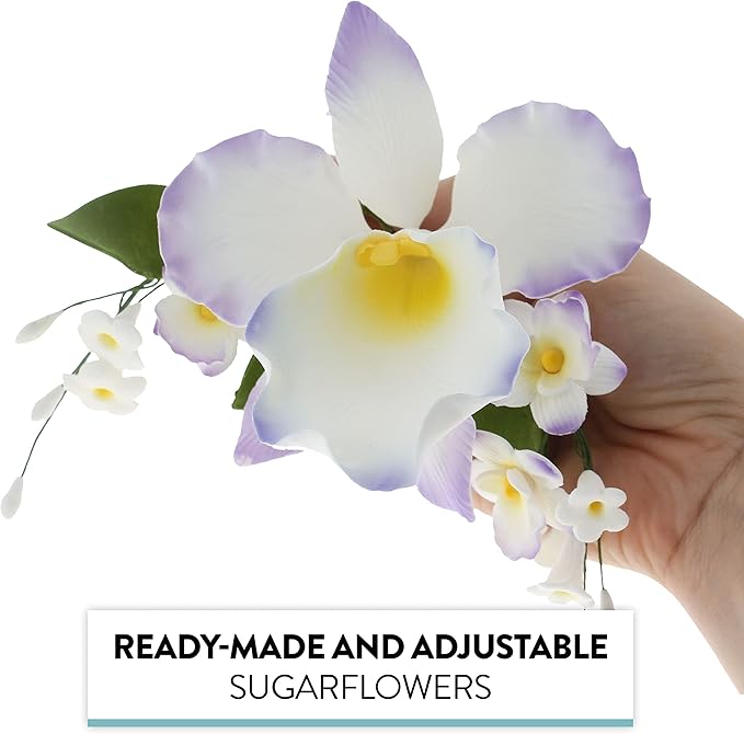 Global Sugar Art Cattleya Orchid Arched Spray Sugar Cake Flower, Violet, 1 Count by Chef Alan Tetreault