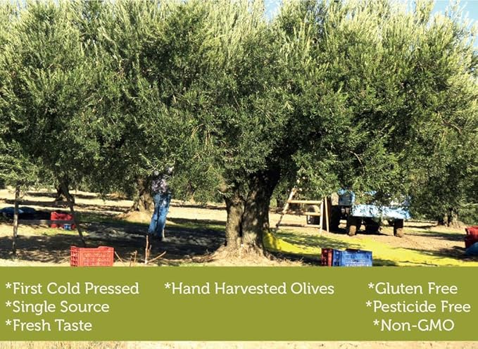 Cold Pressed Virgin Olive Oil 1 L - 33.81 Fluid Ounce, Antique Ephesus, Mediterranean Region of Ayvalik Turkey