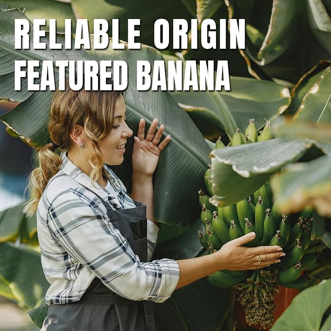 Ternio Premium Freeze Dried Bananas - 7.76 oz / 220 g - 100% Natural, No Preservatives, Low Calorie Snack - A Sweet and Crunchy Snack for Adults and Kids