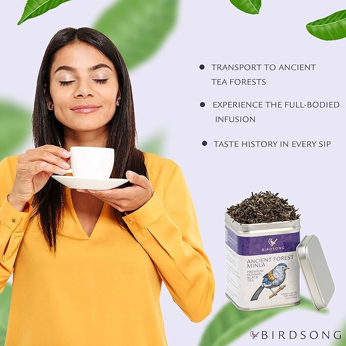 Birdsong Ancient Forest Minla- Organic Black Tea, Rich Full-Bodied Flavourful Caffeinated English Breakfast Tea with 100% Natural Sweet and Health Benefits, 15 Non-GMO Plant-Based Pyramid Tea Bags