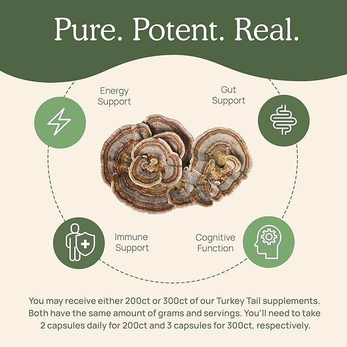 Real Mushrooms Turkey Tail Capsules ??Organic Mushroom Extract for Daily Wellness, Gut Harmony, Energy Support ??Vegan, Non-GMO, No Fillers ??Turkey Tail Extract 200 Count Mushroom Supplement