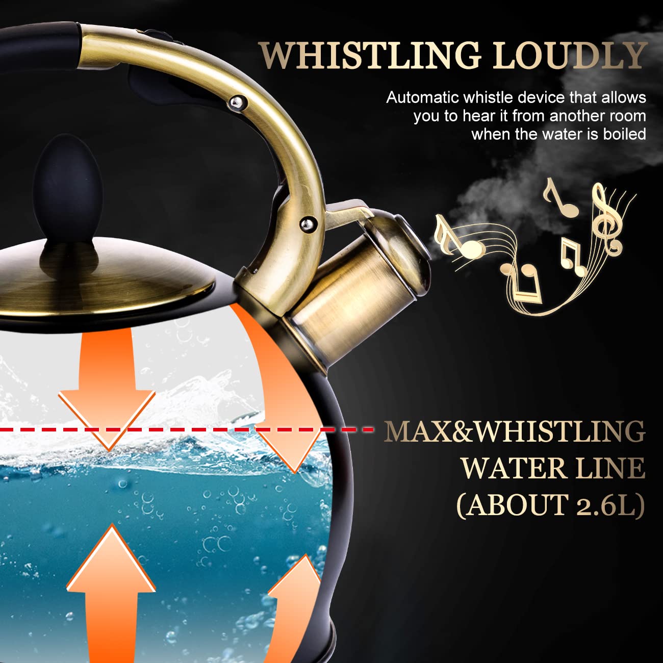 SUSTEAS Whistling Tea Kettle, 2.7QT Food-Grade Steel Teapot, BLACK