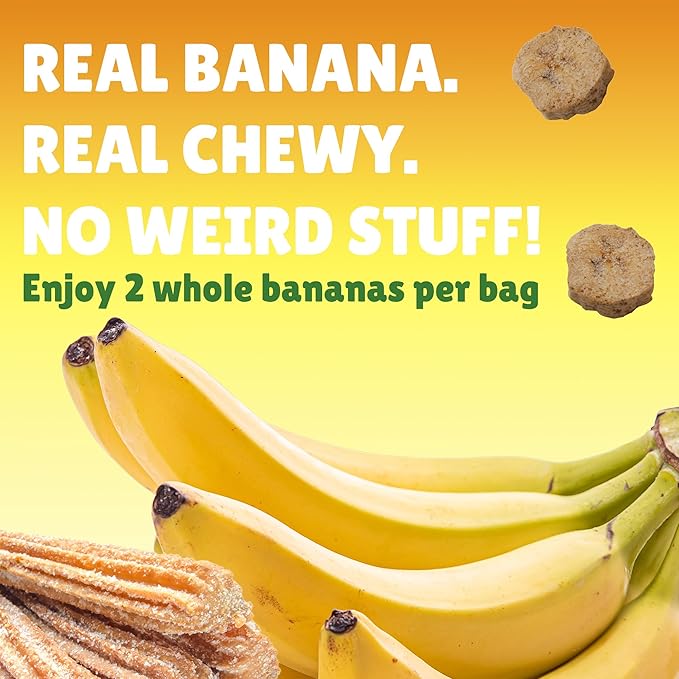 BranchOut Cinnamon Churro Banana Slices, Chewy & Full of Flavor, GentleDry, Better than Freeze Dried Banana Chips, Delicious Vegan Fruit Snacks for Kids & Adults, 2 oz Snack Size (Pack of 8)