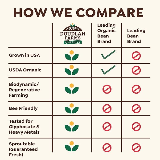 Organic Dried Pinto Beans 5 lb - Non-GMO, Tested Clean Certified, Vegan - Rich in Fiber & Protein for Soups, Burritos, Salads, and Chili - Farmed From Regenerative Soil, Grown In USA by Doudlah Farms