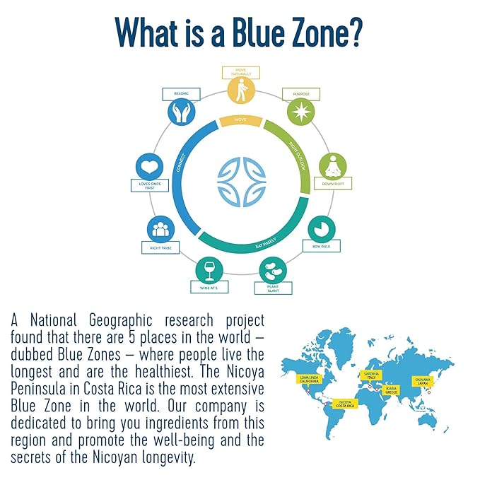 Blue Zones Nicoya - Morning Brew, Maya Nut with Coffee and Cacao - 100% Natural Ground Coffee Alternative - High Micronutrients - Low Caffeine, Gluten & Sugar-Free (12 oz/ 340g)