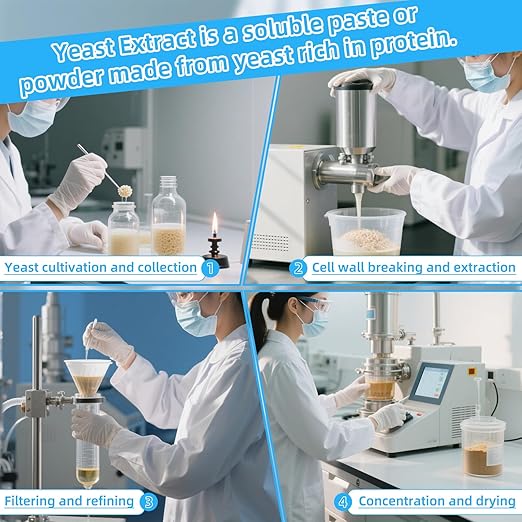 Yeast Extract, Industrial Grade Nutrient for Mycology, Powder, 500g/Bottle(1.1 lb.), 10 Bottles/Case