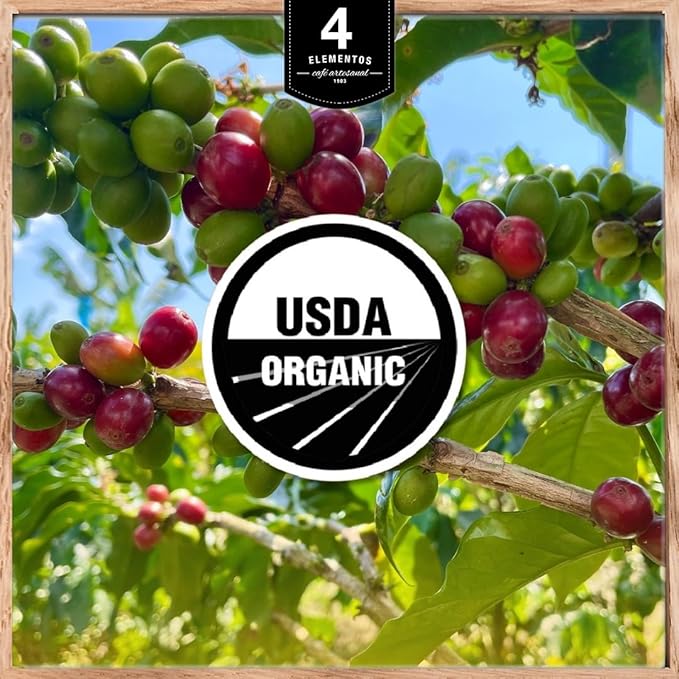 4Elementos | Whole Bean Specialty Coffee, Medium Roast, 100% Organic Arabica from Colombia, Honey, Sweet Chocolate & Brown Sugar Notes, 12oz (Pack of 2)