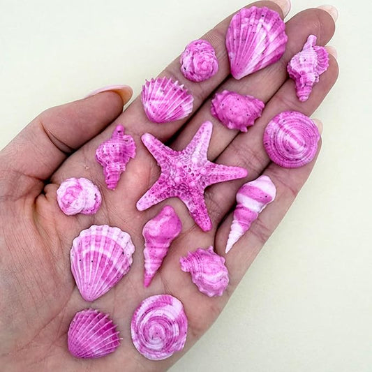 15 Dye Free Seashell Edible Cake Decorations, Vegan, Gluten-Free, Edible Cake Toppers for Cupcakes, Cookies & Desserts, by Simply Sucrì±?(45 Pieces (Bulk Box), Magenta)