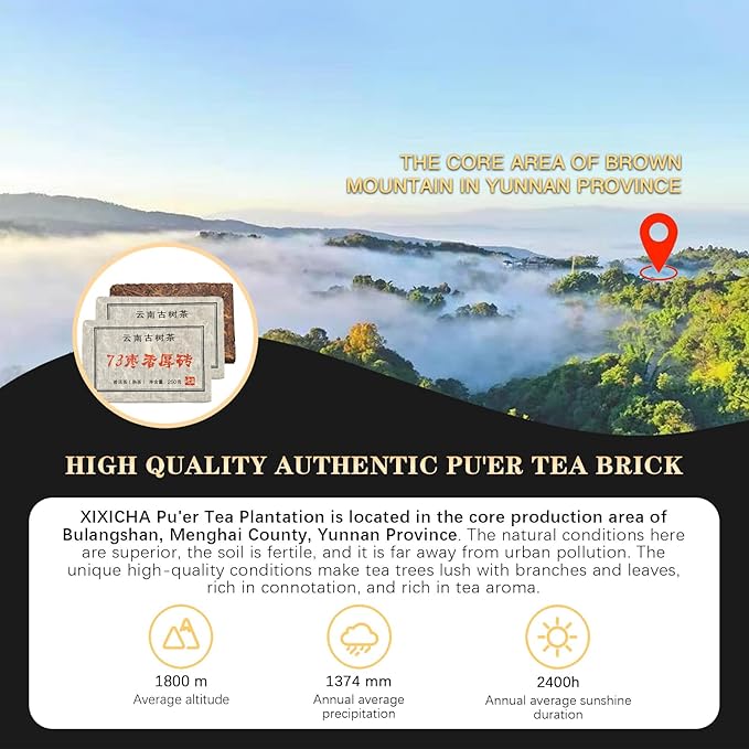 XIXICHA Pu-erh Tea Brick 2016Yr Aged Fermented Black Tea Ripe Pu er Yunnan Menghai Palace Puer Chinese Tea 500g(250g*2) ???????’뙳 ??„젚 ?…묈??먩돈若ュë»?????"<div>