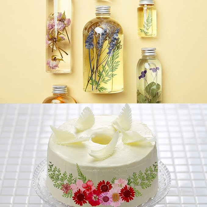 Nuanchu Pressed Flowers Bulk Dried Flower for Crafts, Dried Wildflowers Leave Natural with Tweezer for Resin Mold Scrapbooking Nail Soap Making DIY(Classic Style,Bright Colors)