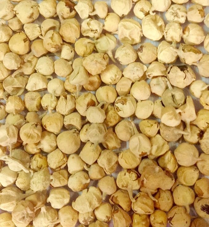 Ayurveda Paneer Phool | Paneer Doda/DODI | Withania Coagulans Whole 17.6 Oz (500Gm / 1.10lb)