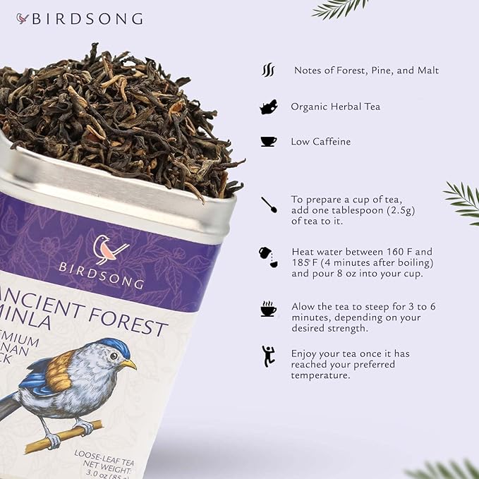Birdsong Ancient Forest Minla- Organic Black Tea, Rich Full-Bodied Flavourful Caffeinated English Breakfast Tea with 100% Natural Sweet and Health Benefits, 15 Non-GMO Plant-Based Pyramid Tea Bags