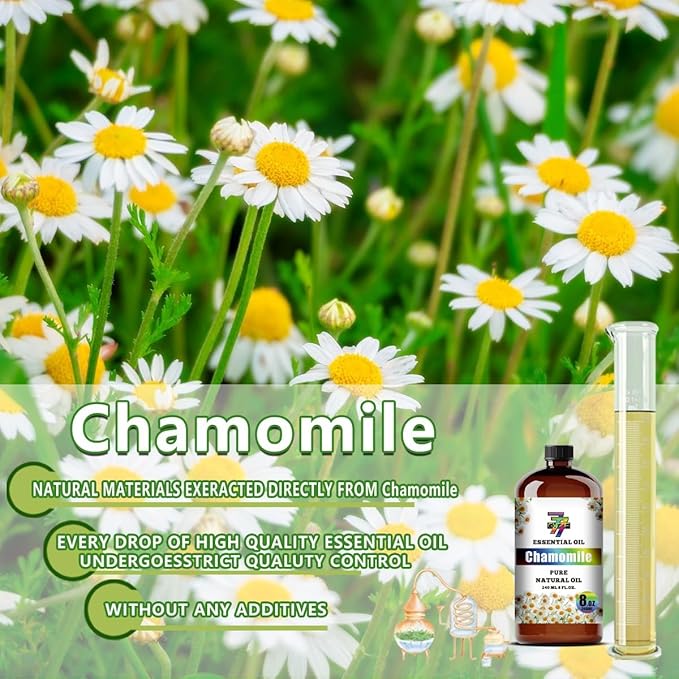 Chamomile Essential Oil (8 oz / 240 ml) ??Chamomile Oils for diffusers, humidifiers, Home Baths, Cleaning Products, Yoga, DIY Soaps and DIY Scented Candles