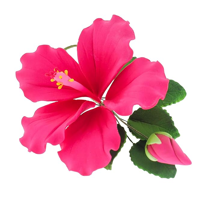 Global Sugar Art Hibiscus Sugar Cake Flowers Spray, Hot Pink Hawaiian Cake Flower Large, 1 Count by Chef Alan Tetreault