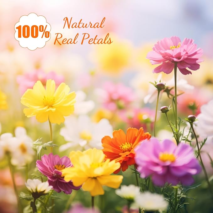 96 Pcs Natural Dried Pressed Flowers for Cake Topper Decorating Cupcake Toppers Cocktails Resin Jewelry Making DIY Art Crafts