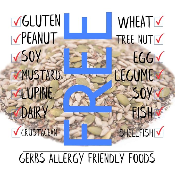 Gerbs Super 5 Seed Snack Mix 14 oz. | Raw, No Additives, Resealable Bag | Crunchy Pumpkin, Sunflower, Flax, Chia & Hemp Blend | Top 14 Allergen-Free