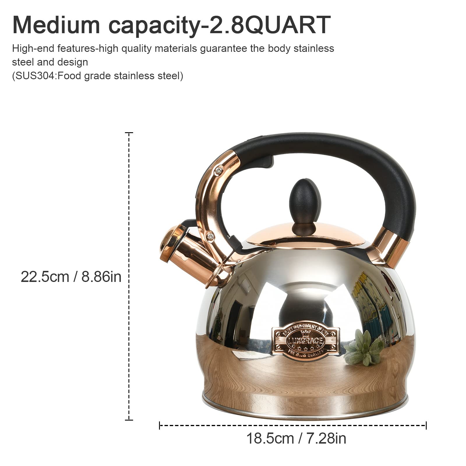 Stainless Steel Whistling Tea Kettle with Metal Capsulated Bottom for Quick Heat Distribution 2.8