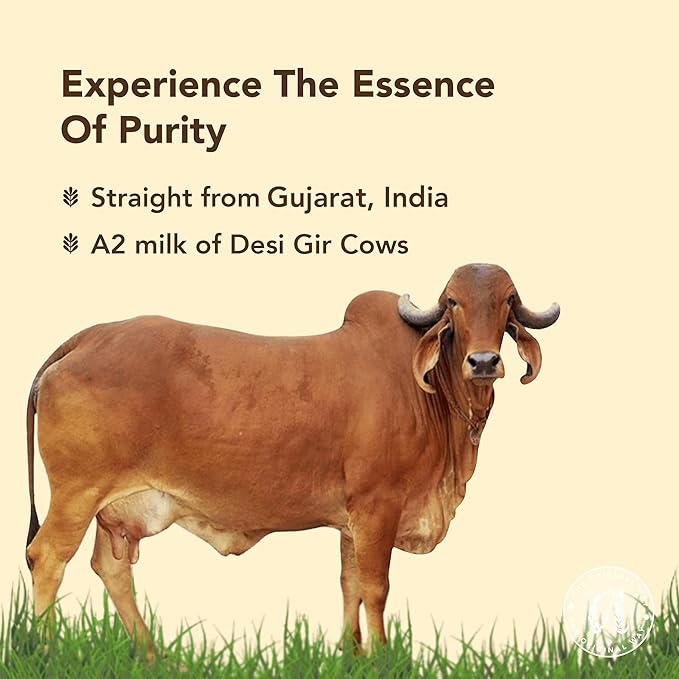 Anveshan A2 Gir Cow Desi Ghee 500ML | Grass-Fed | Pasture-Raised | Traditional Curd-Churned Bilona Method | Ethically Sourced | Farm Fresh | Ayurveda Superfood | Rich Aroma | High Smoke Point