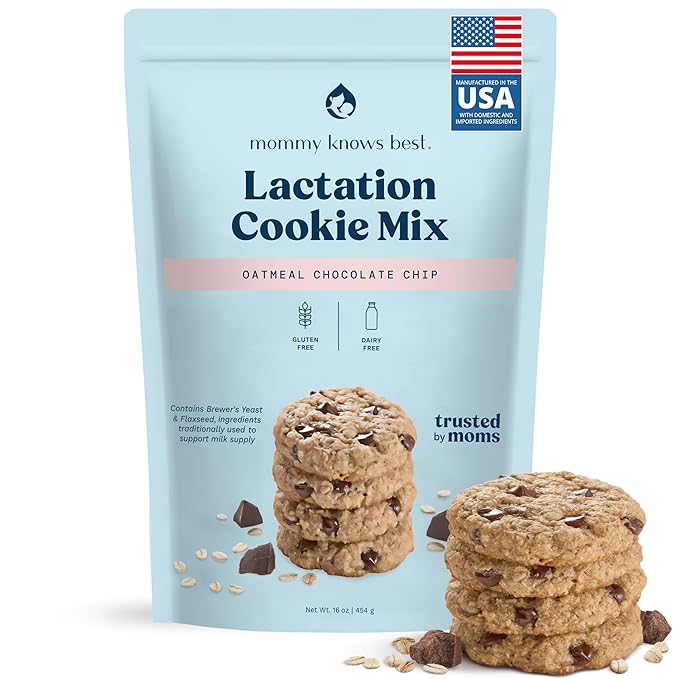 Lactation Cookies Mix - Gluten Free and Dairy Free Oatmeal Breastfeeding Cookie Supplement Support for Breast Milk Supply Increase (Chocolate Chip, 1 Pound)