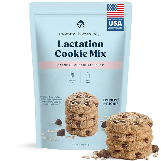 Lactation Cookies Mix - Gluten Free and Dairy Free Oatmeal Breastfeeding Cookie Supplement Support for Breast Milk Supply Increase (Chocolate Chip, 1 Pound)
