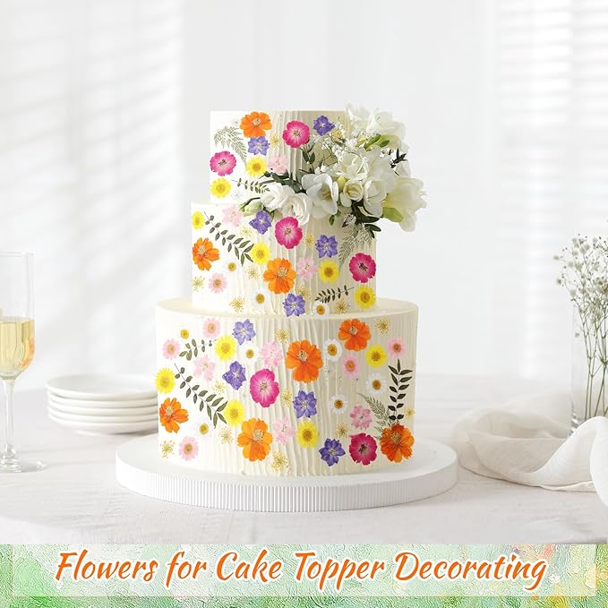 96 Pcs Natural Dried Pressed Flowers for Cake Topper Decorating Cupcake Toppers Cocktails Resin Jewelry Making DIY Art Crafts