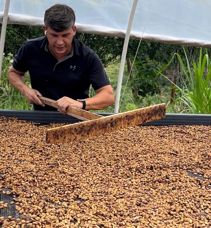 Single Origin Unroasted Green Coffee Beans, From Colombia, Specialty Grade, Finca Portezuel, Bourbon and Caturra Varietals (5 lbs, Colombia Honey Process)