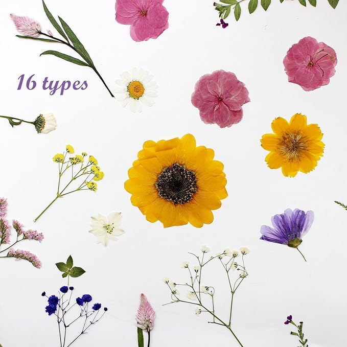 16 Types Boho Dried Pressed Flowers for Craft, Leaf Plant Herbarium for Resin Molds Jewelry Making Floral Decors竊뉰oho Colorç«?,<div>