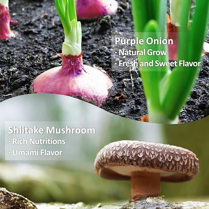 Yimi Onion and Mushroom Seasoning Mix, Umami Flavor, Finely Ground Powder for Soups, Stews, and Sauces and More, 8 oz