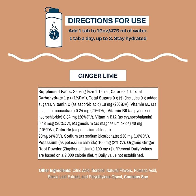 Drinklits Ginger-Lime Daily Electrolyte Hydration Tablets (4) Tube Bundle | Made with Organic Ginger ??0g Sugar ??Great Taste | 4 Pack (40 Servings)