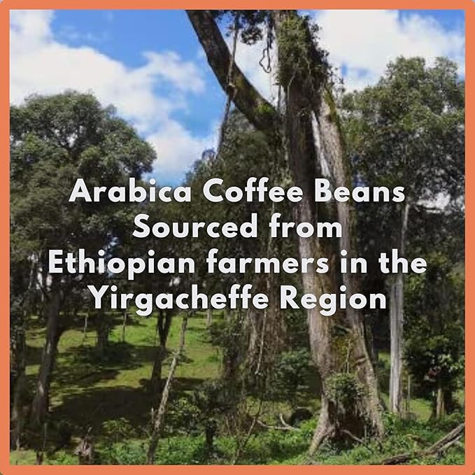 Cafì±?Grumpy Ethiopia Yirgacheffe Single Origin Whole Coffee Beans, 12 oz Bag Farm to Table Medium Roast, French Press Pour Over Cold Brew Drip