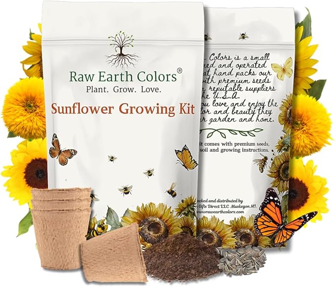 Sunflower Grow Kit with Dwarf Sunflower Seeds for Planting - Teddy Bear and Sunspot!