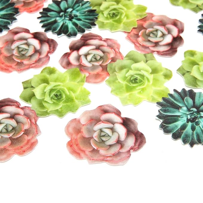 24pcs Edible Cupcake toppers Succulents Hawaiian Party Cake Summer Decoration,Not 3D ??,<div>