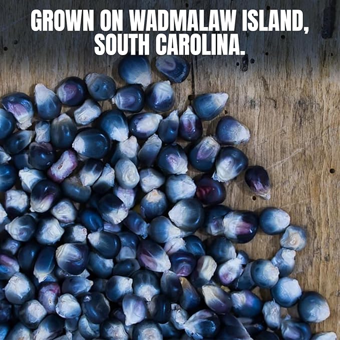 Marsh Hen Mill Indigo Popcorn Kernels | Vibrant Blue Kernels That Pop into Crisp White Flakes | Gluten-Free & Non-GMO | Healthy Snack for Gourmet Popcorn Lovers ??24 oz Bag (Pack of 1)