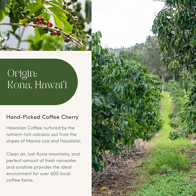 ROYAL KONA COFFEE - Light Roast Ground Coffee, Vanilla Macadamia Flavor, 40 Ounce