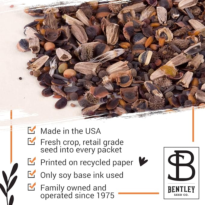 Bentley Seeds Old Glory Flower Mix - Pre Filled American Flag Seed Packets - 25 Annual Wildflower Seed Packs - Perfect Eco-Friendly Gift for DIY Gardeners or New Homeowners - Non GMO Seeds