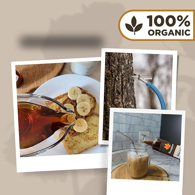Biodélices Maple Syrup - Glass Bottle - 750ml - Pure Premium Maple Syrup from Quebec, Canada