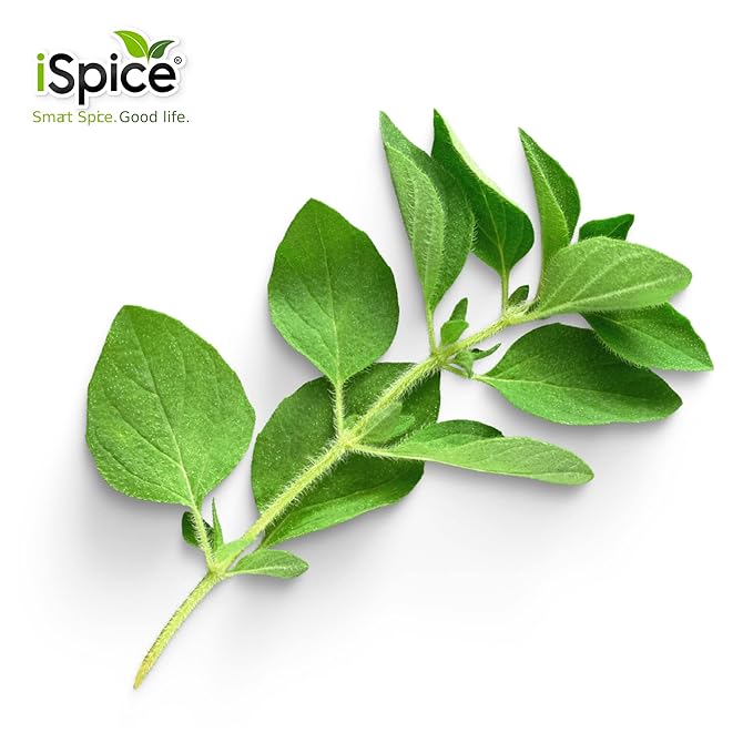 iSpice -RICH GROUND OREGANO Variation 4.3oz (123g)