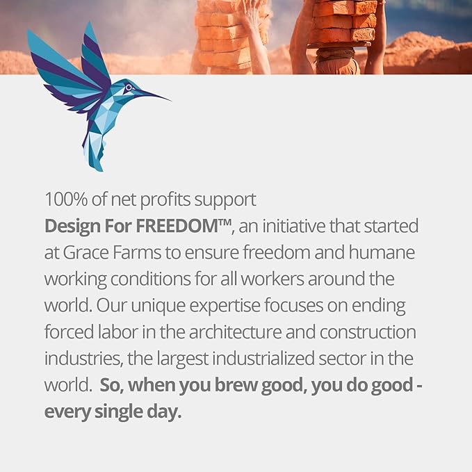 Grace Farms ROOIBOS CHAI ORGANIC ICED TEA (Twelve 1qt. Brew Bags, 3 Gallons) | Refreshing and Spiced, Naturally Sweet Sugar-Free | Easy Cold Brew