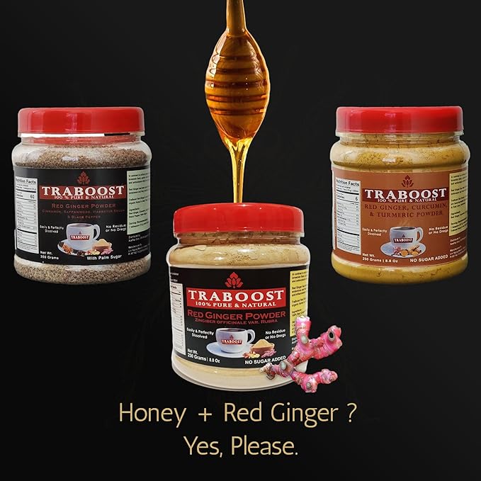 Traboost Stinglees Bee Honey from Sumatra Indonesia DARK | 250 ML