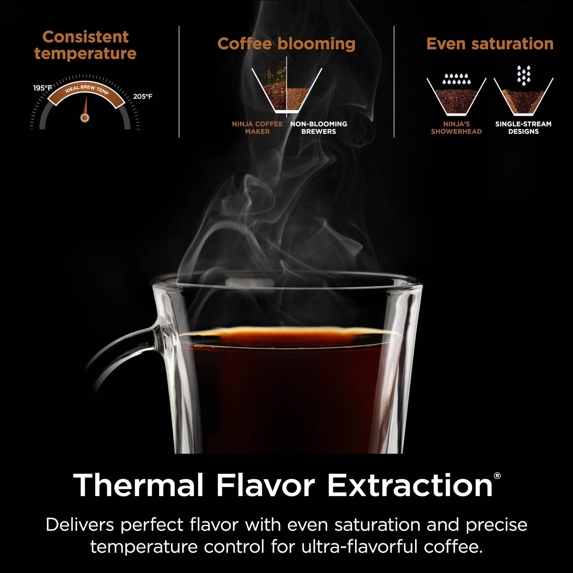 Ninja Hot & Iced XL Coffee Maker with Rapid Cold Brew, Black, CM371
