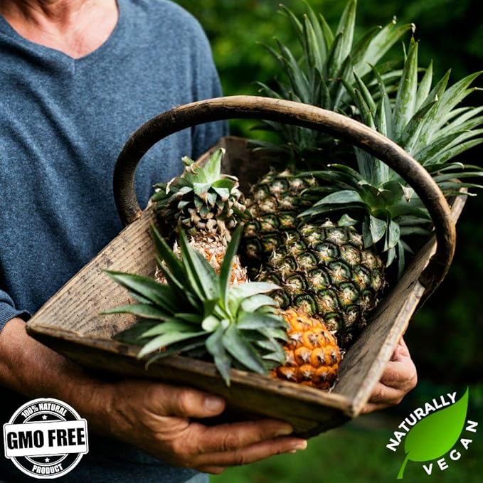 Gerbs Dried Pineapple Cubes, 2 LBS - Preservative Free & Unsulfured - Top 14 Food Allergy Free & Non GMO - Product of Thailand