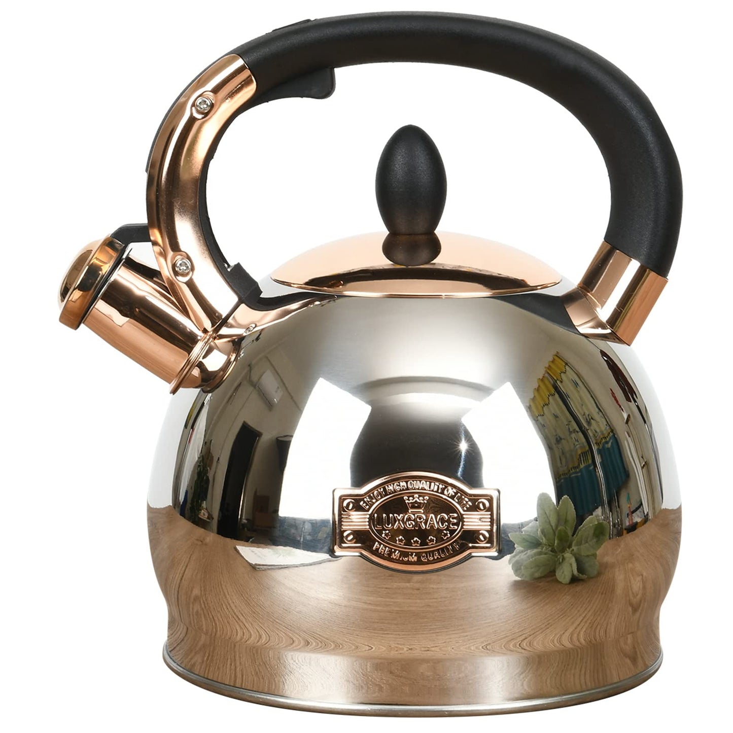 Stainless Steel Whistling Tea Kettle with Metal Capsulated Bottom for Quick Heat Distribution 2.8